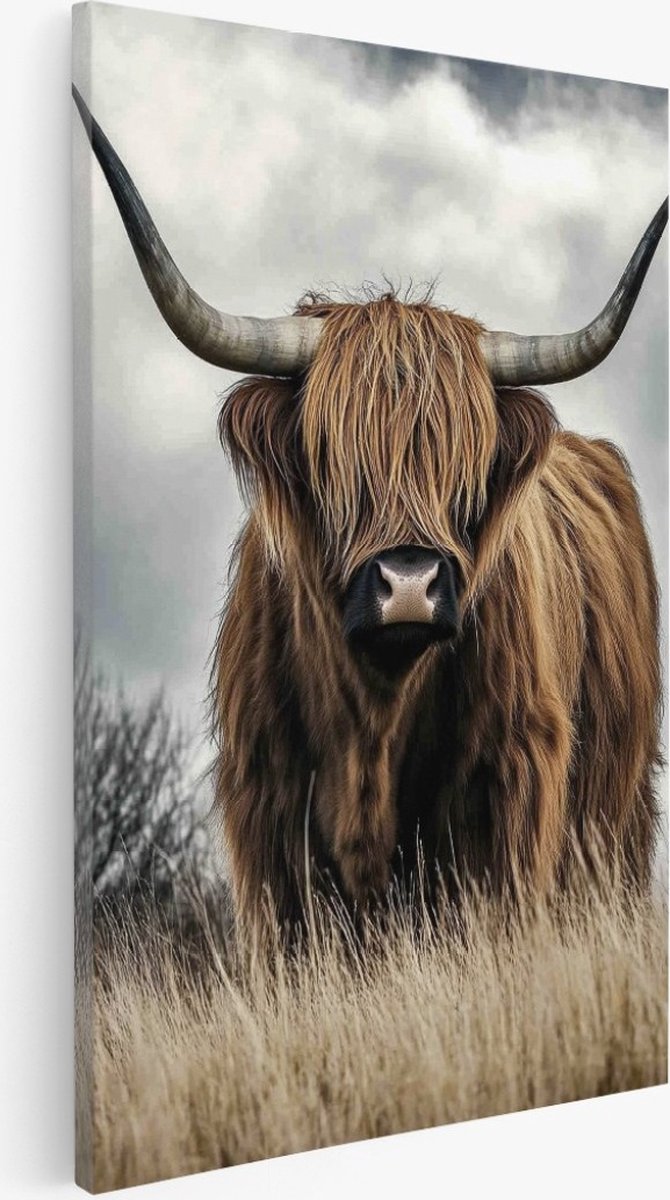 Saammp Canvas Schilderij - Schotse Hooglander in hoog gras - Natuur - Dieren - 40x60 - Foto op canvas - Wanddecoratie - Muurdecoratie Woonkamer - Slaapkamer decoratie - Canvas Print Multicolor