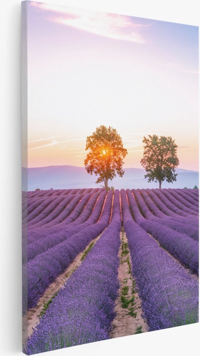 Saammp Canvas Schilderij - Lavendelveld met de zon tussen de bomen - Natuur - Landschap - 40x60 - Foto op canvas - Wanddecoratie - Muurdecoratie Woonkamer - Slaapkamer decoratie - Canvas Print Multicolor