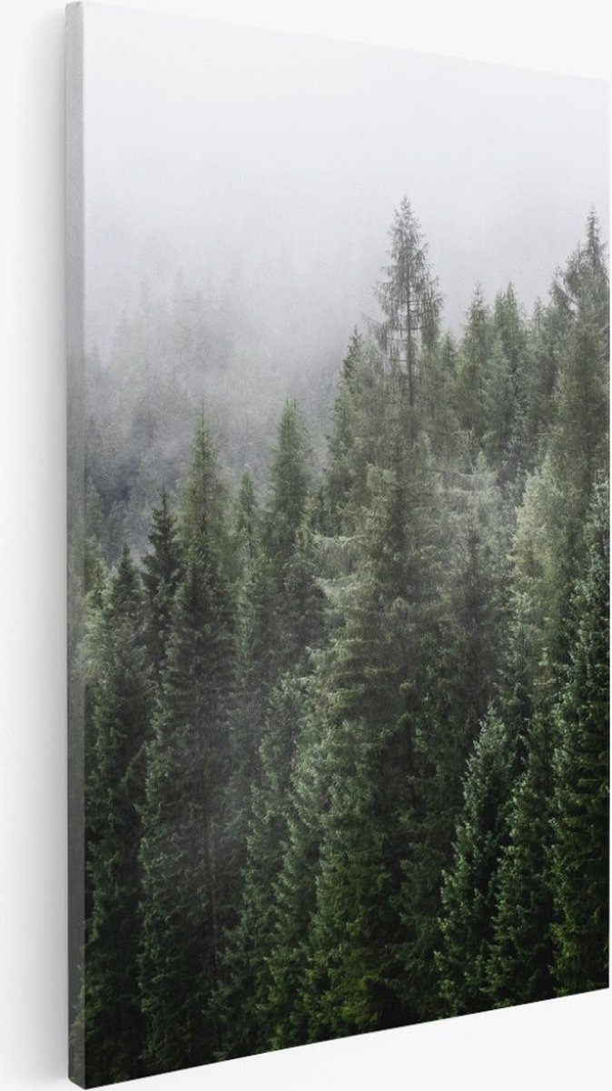 Saammp Canvas Schilderij - Naaldbomen tussen de mist - Landschap - Natuur - 100x150 - Foto op canvas - Wanddecoratie - Muurdecoratie Woonkamer - Slaapkamer decoratie - Canvas Print Multicolor