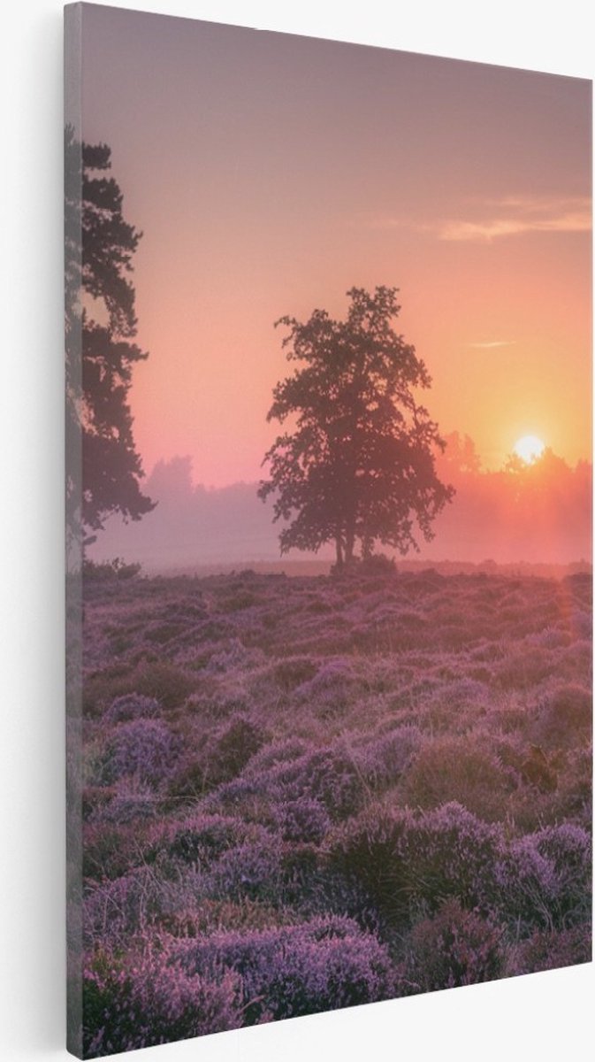 Saammp Canvas Schilderij - Lavendelveld met bomen en zonsondergang - Zonsondergang - Landschap - Natuur - 40x50 - Foto op canvas - Wanddecoratie - Muurdecoratie Woonkamer - Slaapkamer decoratie - Canvas Print Multicolor