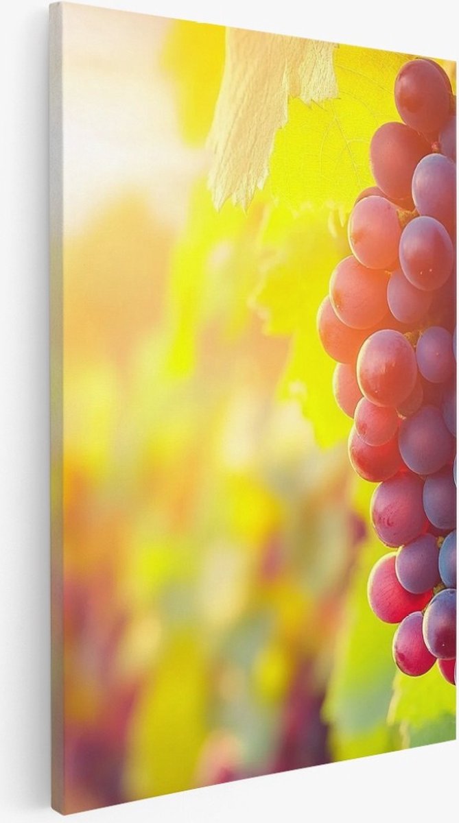 Saammp Canvas Schilderij - Druiventros in zonsondergang - Landschap - Natuur - 40x50 - Foto op canvas - Wanddecoratie - Muurdecoratie Woonkamer - Slaapkamer decoratie - Canvas Print Multicolor
