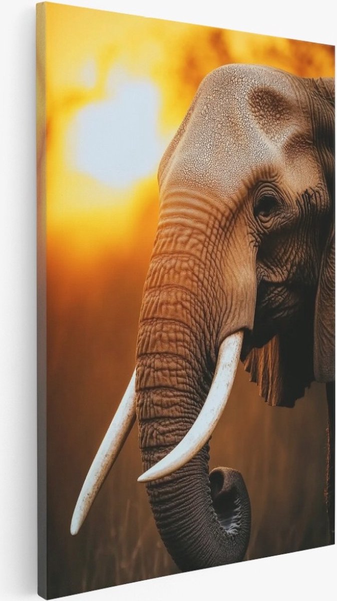 Saammp Canvas Schilderij - Olifant met zonsondergang - Dieren - Natuur - 40x50 - Foto op canvas - Wanddecoratie - Muurdecoratie Woonkamer - Slaapkamer decoratie - Canvas Print Multicolor