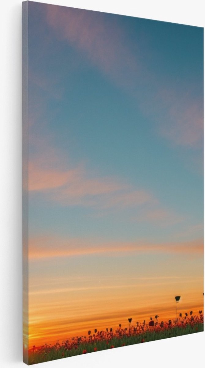Saammp Canvas Schilderij - Landschap - Bloemenveld - Natuur - 50x70 - Foto op canvas - Wanddecoratie - Muurdecoratie Woonkamer - Slaapkamer decoratie - Canvas Print Multicolor