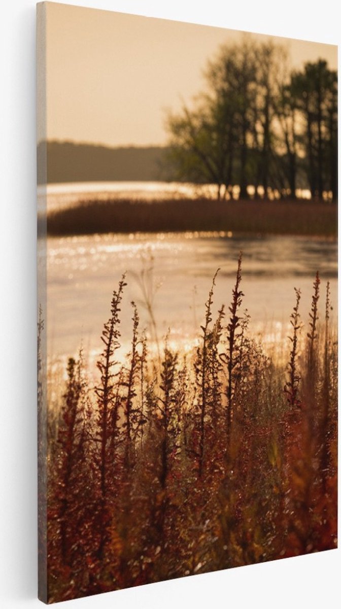 Saammp Canvas Schilderij - Water - botanisch - Landschap - Natuur - 20x30 - Foto op canvas - Wanddecoratie - Muurdecoratie Woonkamer - Slaapkamer decoratie - Canvas Print Multicolor