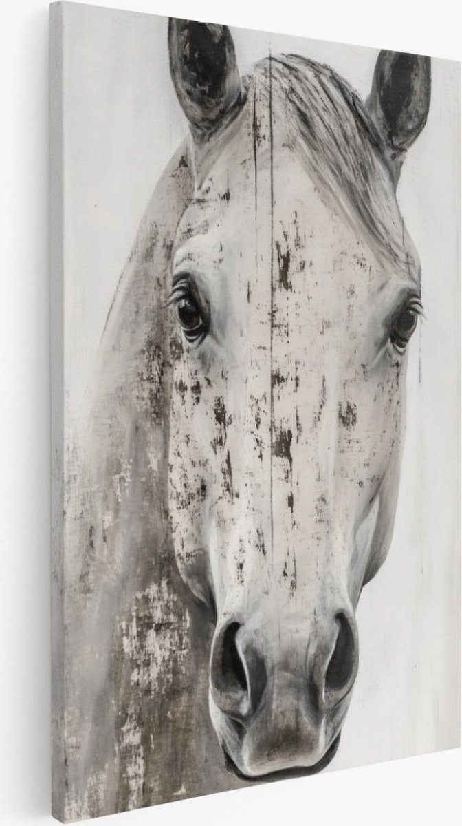 Saammp Canvas Schilderij - Paard - Abstract - Dieren - Natuur - 20x30 - Foto op canvas - Wanddecoratie - Muurdecoratie Woonkamer - Slaapkamer decoratie - Canvas Print Multicolor