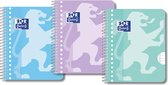 Trois cahiers avec lion stylisé dans des couleurs pastel : bleu, violet et vert.