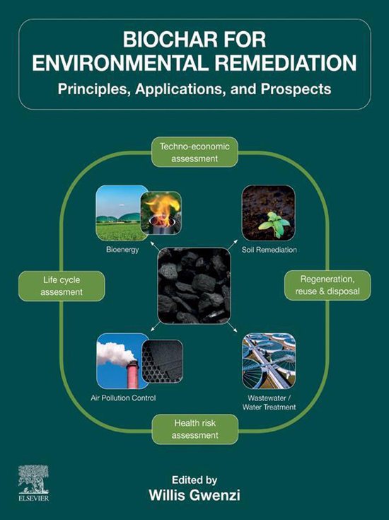 Biochar for Environmental Remediation - cover