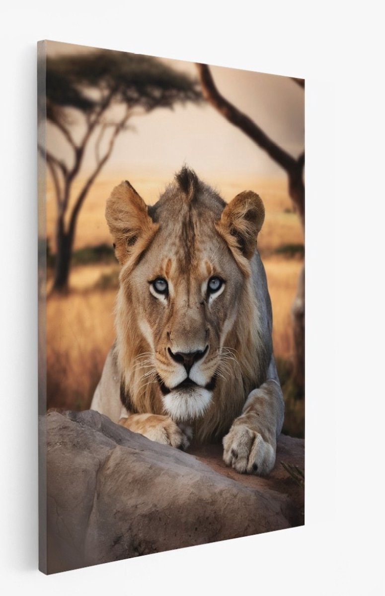Saammp Canvas Schilderij - Leeuwin bij steen - Dieren - 60x90 - Foto op canvas - Wanddecoratie - Muurdecoratie Woonkamer - Slaapkamer decoratie - Canvas Print Multicolor