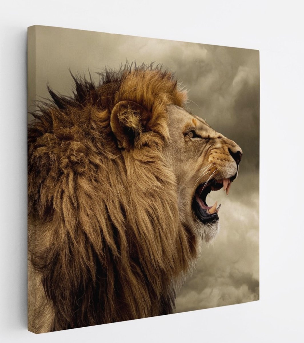 Saammp Canvas Schilderij - Grommende Leeuw - Dieren - Natuur - 20x20 - Foto op canvas - Wanddecoratie - Muurdecoratie Woonkamer - Slaapkamer decoratie - Canvas Print Multicolor