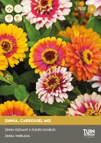 Tuin de Bruijn® Zinnia Caroussel Mix - zeer aantrekkelijk voor bijen, vlinders en vogels - 1 gram - ca. 100 zaden