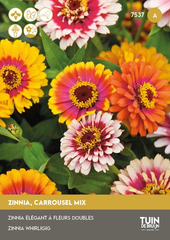 Tuin de Bruijn® zaden Zinnia Caroussel Mix - zeer aantrekkelijk voor bijen, vlinders en vogels - 1 gram - ca. 100 zaden