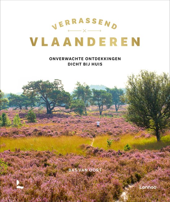Verrassend Vlaanderen - cover