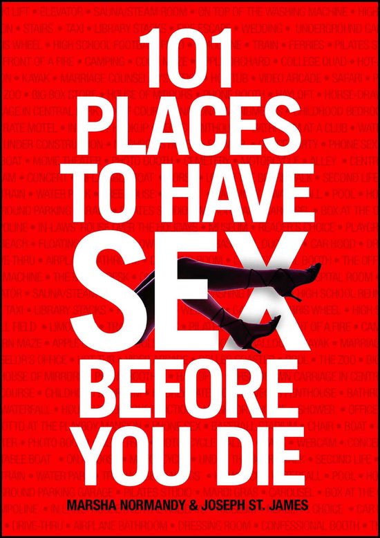 101 Places To Have Sex Before You Die - cover