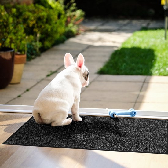 Franse bulldog zit op een grijze, gemêleerde deurmat bij een glazen deur, met een blauw speeltje.