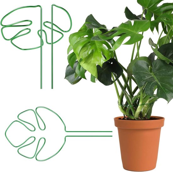 Xl - Kunstplanten kopen? | Korting tot 6