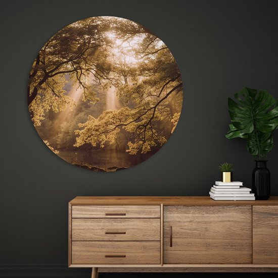Saammp Wall Circle Bois - Incidence lumineuse - Arbres - Paysage - Nature - Ø 70 - Cercle mural - Décoration murale Cercle - Décoration murale Salon - Décoration chambre - Peinture ronde