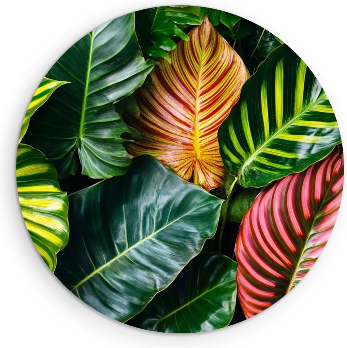 Saammp Forex Muurcirkel - Kleurrijke bladeren - Natuur - Landschap - Ø 90 - Wandcirkel - Wanddecoratie Cirkel - Muurdecoratie Woonkamer - Slaapkamer decoratie - Rond Schilderij