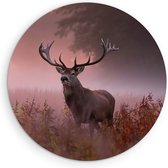 Saammp Forex Muurcirkel - hert met zonsopgang in de mist - Natuur - Dieren - Ø 90 - Wandcirkel - Wanddecoratie Cirkel - Muurdecoratie Woonkamer - Slaapkamer decoratie - Rond Schilderij