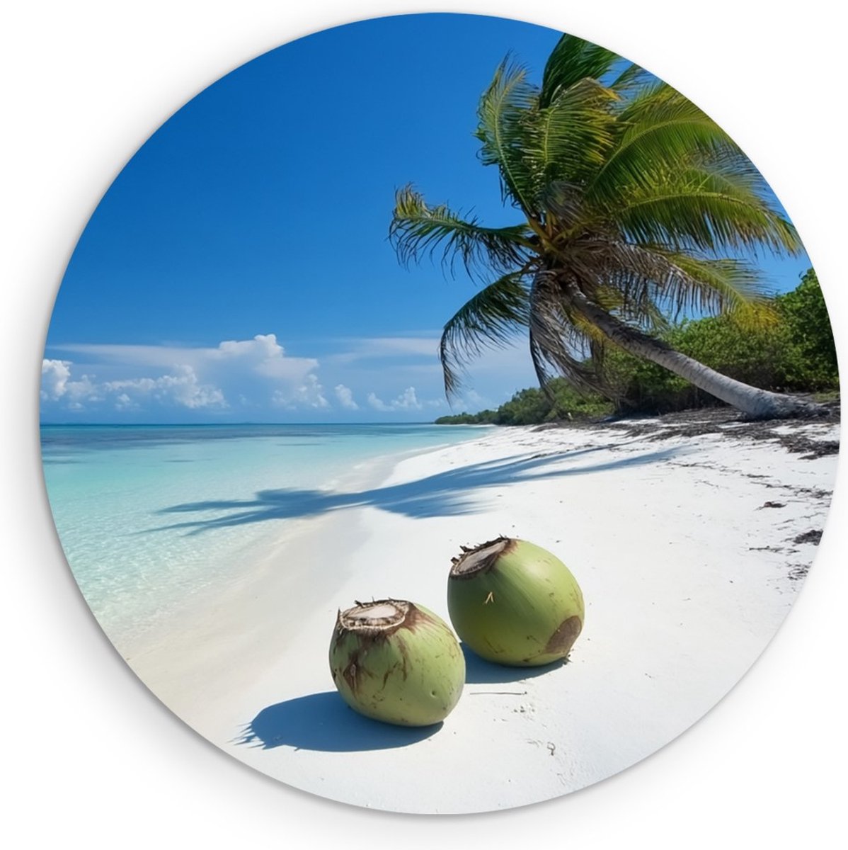Saammp Forex Muurcirkel - Strand met kokosnoten - Zee - Ø 70 - Wandcirkel - Wanddecoratie Cirkel - muurdecoratie Woonkamer - Slaapkamer decoratie - Rond Schilderij