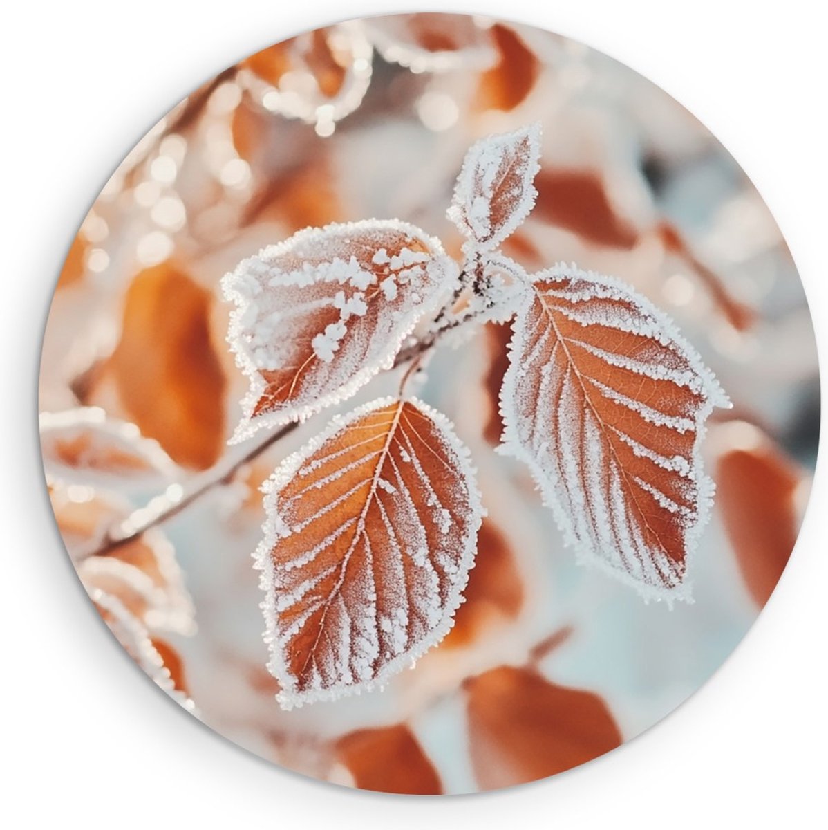 Saammp Muurcirkel Hout - Herfstbladeren met Rijp - Natuurlijk - Wandcirkel - Wanddecoratie Cirkel - Muurdecoratie Woonkamer - Modern Interieur - Ø 50