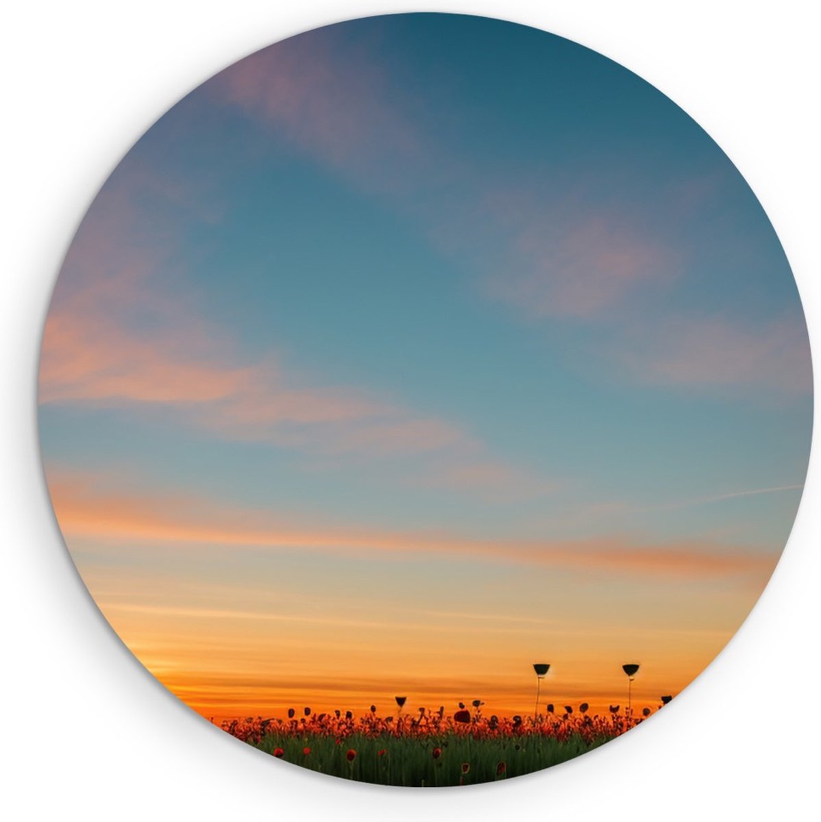 Saammp Muurcirkel Hout - Landschap - Bloemenveld - Natuur - Ø 30 - Wandcirkel - Wanddecoratie Cirkel - Muurdecoratie Woonkamer - Slaapkamer decoratie - Rond Schilderij