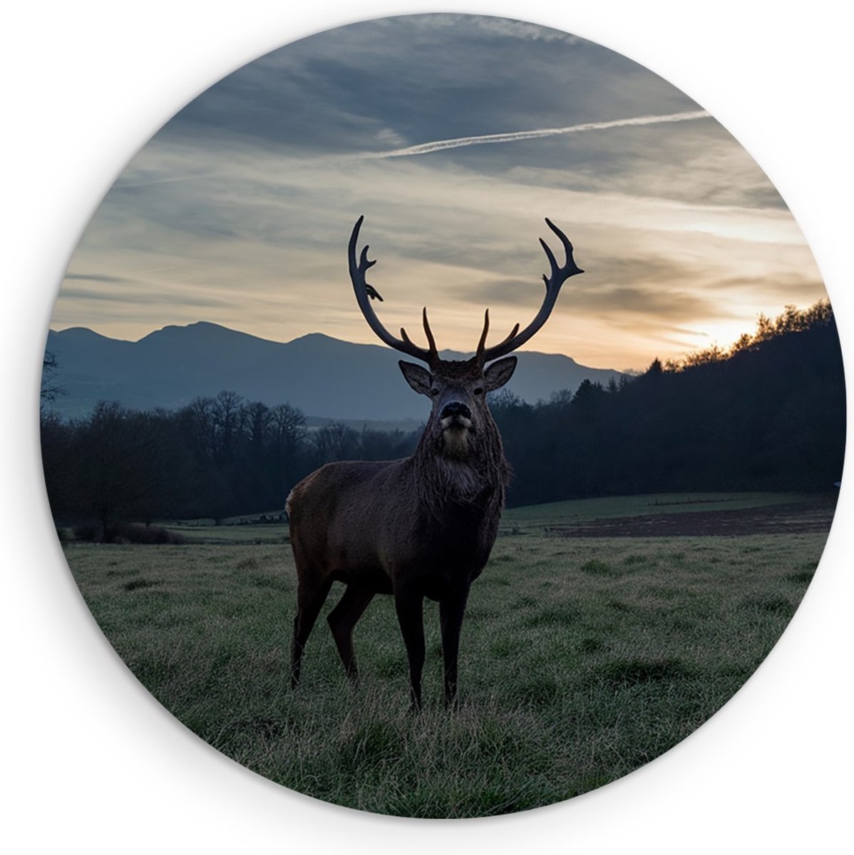 Saammp Muurcirkel Hout - Hert - Zonsondergang - Natuur - Dieren - Ø 80 - Wandcirkel - Wanddecoratie Cirkel - Muurdecoratie Woonkamer - Slaapkamer decoratie - Rond Schilderij
