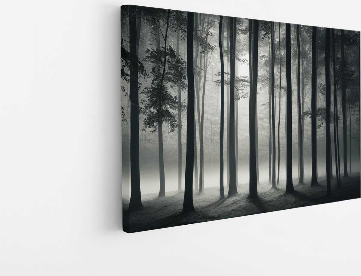 Saammp Canvas Schilderij - Zwart-Wit - Bomen - Landschap - Natuur - 40x30 - Foto op canvas - Wanddecoratie - Muurdecoratie Woonkamer - Slaapkamer decoratie - Canvas Print Multicolor