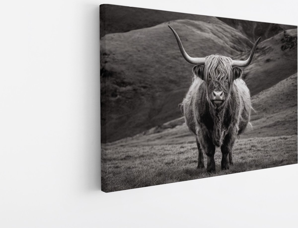 Saammp Canvas Schilderij - Schotse Hooglander Koe tussen de rode planten - Landschap - Dieren - Natuur - 45x30 - Foto op canvas - Wanddecoratie - muurdecoratie Woonkamer - Slaapkamer decoratie - Canvas Print Multicolor