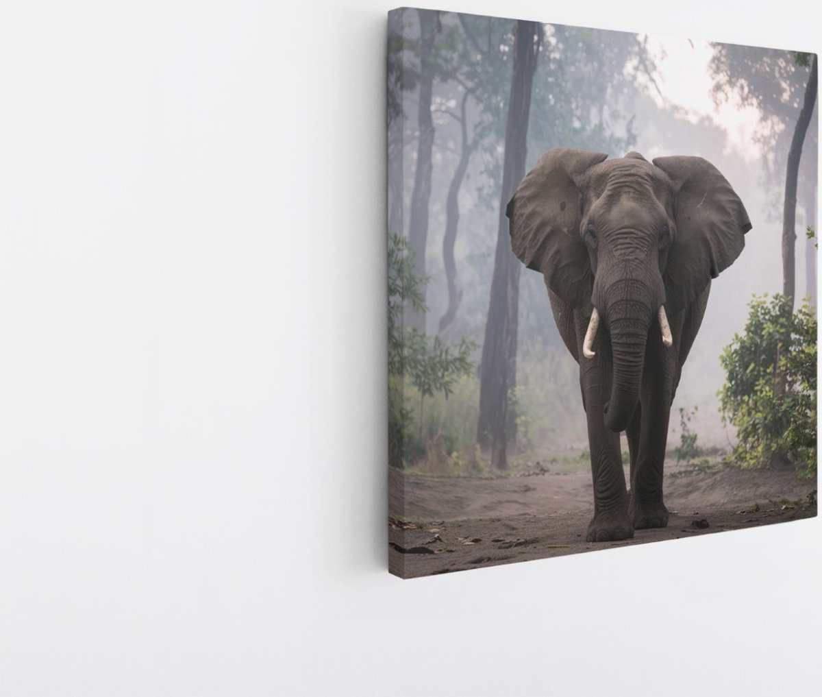 Saammp Canvas Schilderij - Olifant tijdens zonsopgang in het bos - Afrika - Dieren - 20x20 - Foto op canvas - Wanddecoratie - muurdecoratie Woonkamer - Slaapkamer decoratie - Canvas Print Multicolor