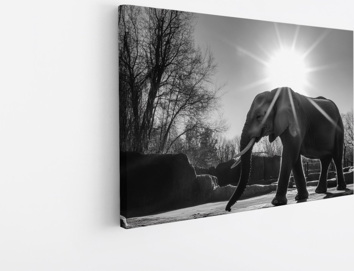 Saammp Canvas Schilderij - Olifant tussen de rotsen - Dieren - 70x50 - Foto op canvas - Wanddecoratie - muurdecoratie Woonkamer - Slaapkamer decoratie - Canvas Print Multicolor