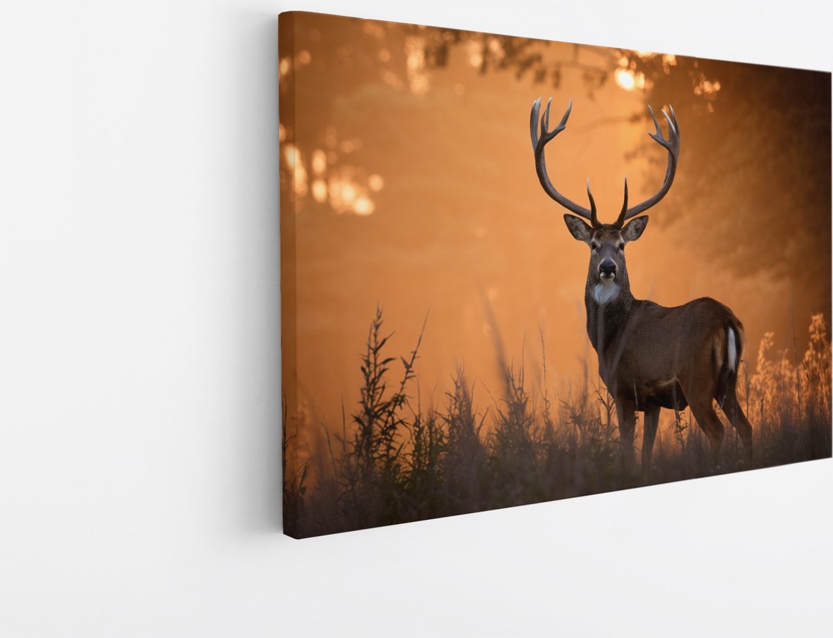 Saammp Canvas Schilderij - jong hert met zonsondergang in hoog gras - Natuur - Dieren - 30x20 - Foto op canvas - Wanddecoratie - Muurdecoratie Woonkamer - Slaapkamer decoratie - Canvas Print Multicolor