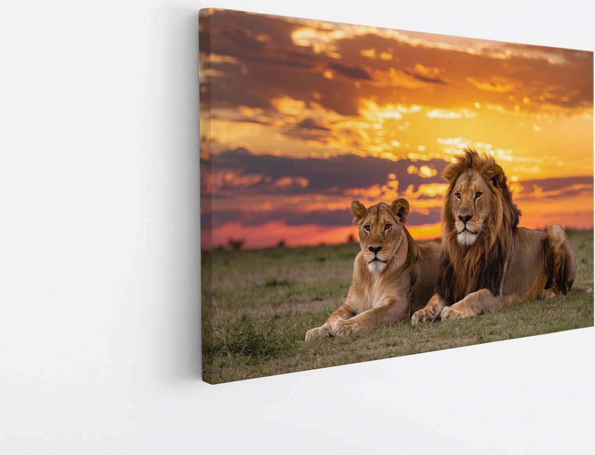 Saammp Canvas Schilderij - 2 Leeuwen in zonsondergang - Afrika -Dieren - Natuur - 45x30 - Foto op canvas - Wanddecoratie - Muurdecoratie Woonkamer - Slaapkamer decoratie - Canvas Print Multicolor