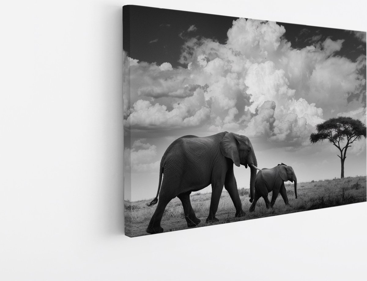Saammp Canvas Schilderij - 2 Olifanten - Familie - Dieren - 90x60 - Foto op canvas - Wanddecoratie - Muurdecoratie Woonkamer - Slaapkamer decoratie - Canvas Print Multicolor