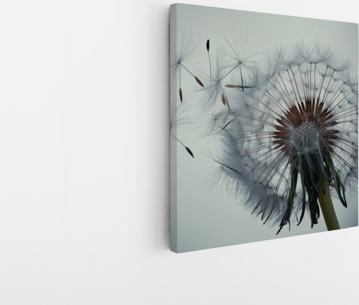 Saammp Canvas Schilderij - Dandelion met zaadjes in de wind - Natuur - Bloemen - 20x20 - Foto op canvas - Wanddecoratie - Muurdecoratie Woonkamer - Kantoor Decoratie Multicolor
