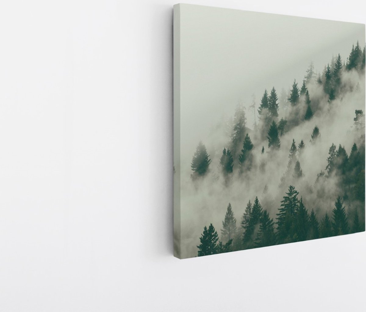 Saammp Canvas Schilderij - Mist tussen de bomen - Landschap - Natuur - 20x20 - Foto op canvas - Wanddecoratie - Muurdecoratie Woonkamer - Slaapkamer decoratie - Canvas Print Multicolor