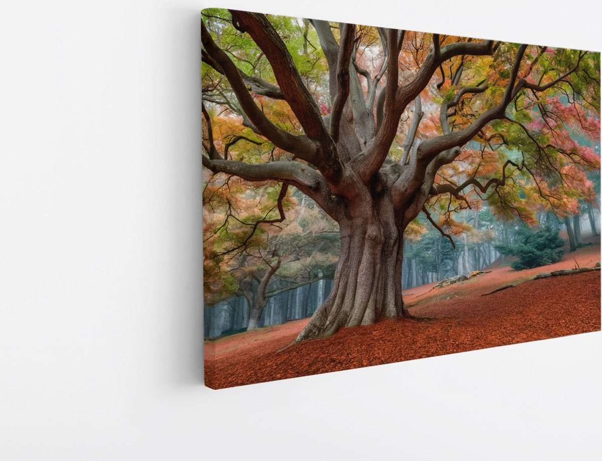 Saammp Canvas Schilderij - Bos tijdens de herfst - Landschap - Bloemen - Natuur - 150x100 - Foto op canvas - Wanddecoratie - Muurdecoratie Woonkamer - Slaapkamer decoratie - Canvas Print Multicolor