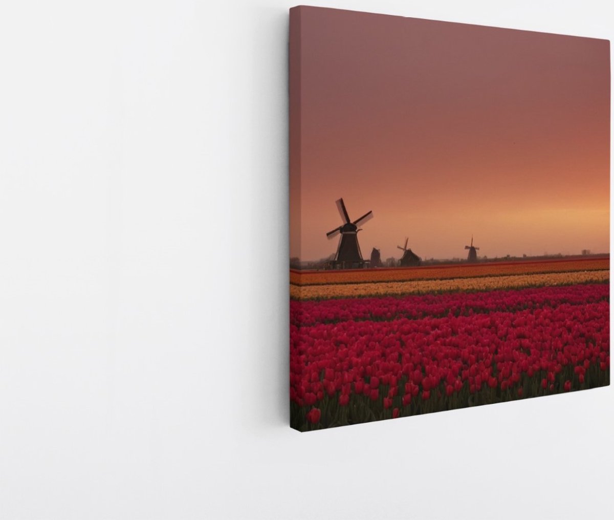 Saammp Canvas Schilderij - Landschap - bloemenveld met een molen - Natuur - 100x100 - Foto op canvas - Wanddecoratie - Muurdecoratie Woonkamer - Slaapkamer decoratie - Canvas Print Multicolor