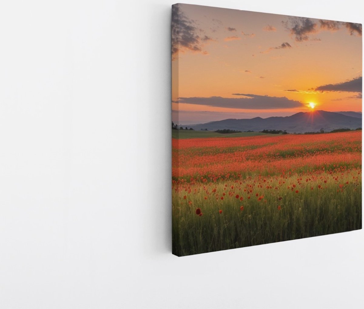 Saammp Canvas Schilderij - Rood bloemenveld met bergachtig landschap - Natuur - 40x40 - Foto op canvas - Wanddecoratie - Muurdecoratie Woonkamer - Slaapkamer decoratie - Canvas Print Multicolor