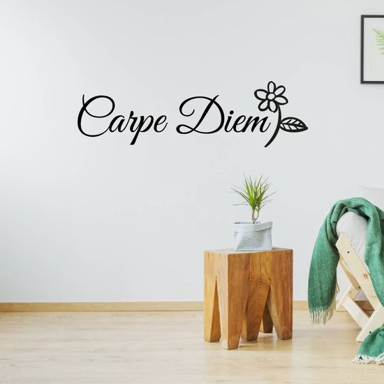 Sticker Muursticker Carpe Diem - Argent - 160 x 46 cm - Sticker mural
