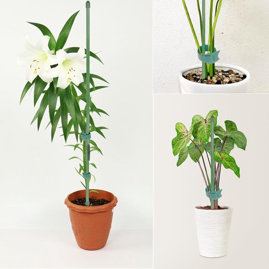 BBLTIFF Plantenklimhulp – 24 Stokken + 16 Verbindingsbuizen – Stevig En Roestvrij – Voor Binnen- En Buitenplanten