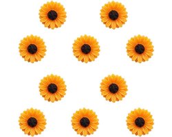 Foto: 