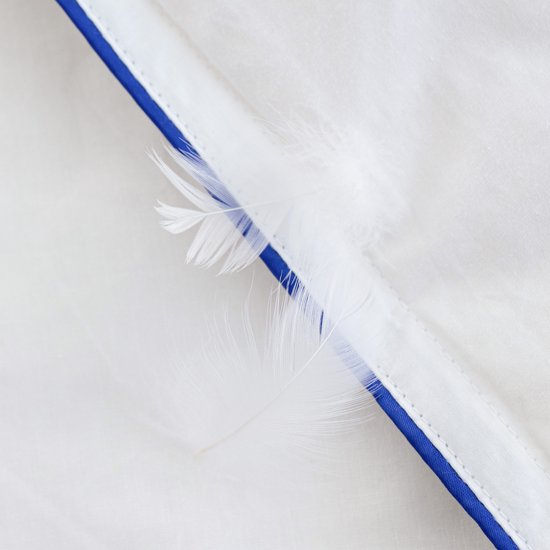 Couette 4 saisons en duvet autrichien Fabiola - Demi-couette en duvet - Couverture Luxe et agréable et lourde - Lits jumeaux 240x220 cm extra longs