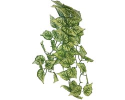 Repto Plant Hanging Hedera - Kunstplant Terrarium
