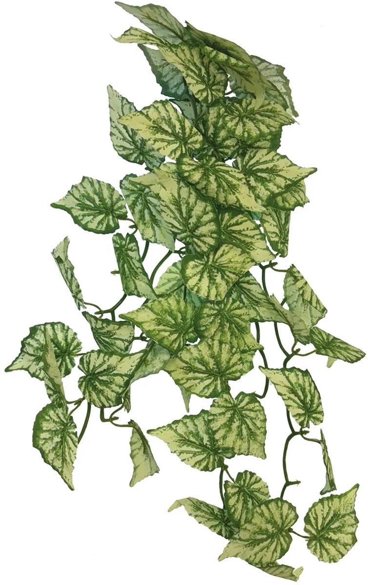Repto Plant Hanging Hedera - Kunstplant Terrarium