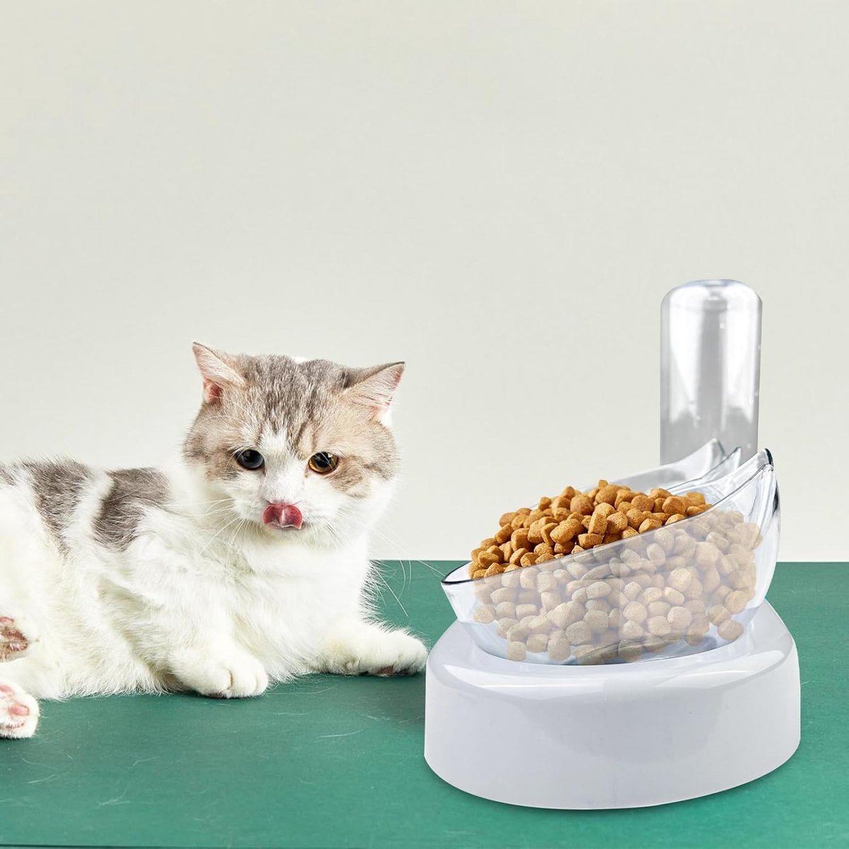 Verhoogde Kattenbakken, 5,5 Inch Voer- En Waterbakken 15 Gekantelde Verhoogde Voerbakken Met Ijzeren Standaard Voor Katten En Puppys Met 2 Grote Voerbak En 4 Mieren
