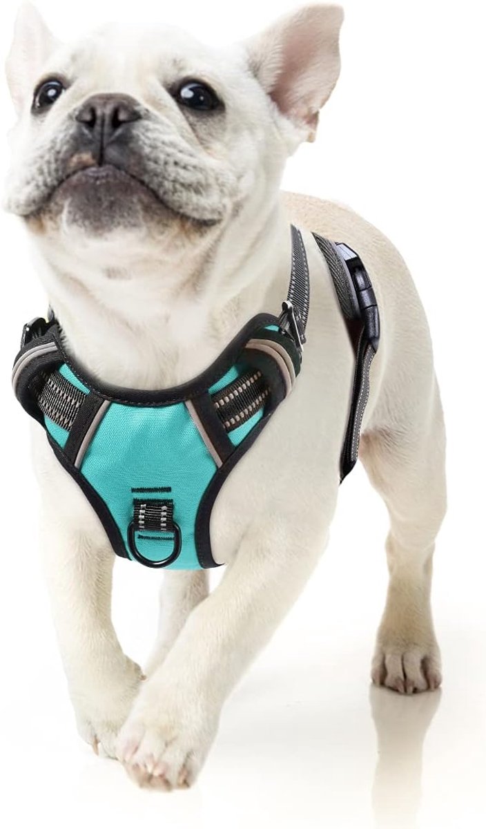 Hondenharnas, No-Pull hondenharnas, borstharnas voor middelgrote honden, zacht, ademend, instelbaar, reflecterend, anti-trek met gevoerde handgreep, turquoise, S