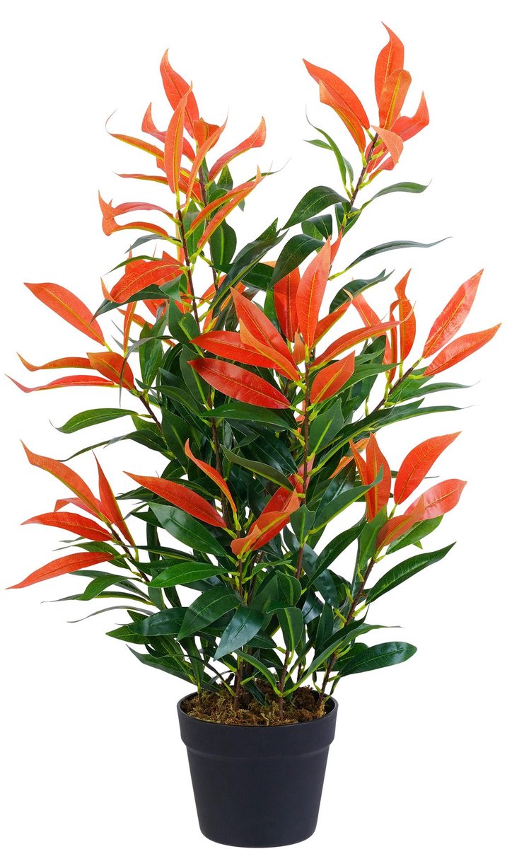 My Ninki ® Kunstmatige Photinia Sierplant voor Binnengebruik - Realistische Groene Decoratie van 80 cm