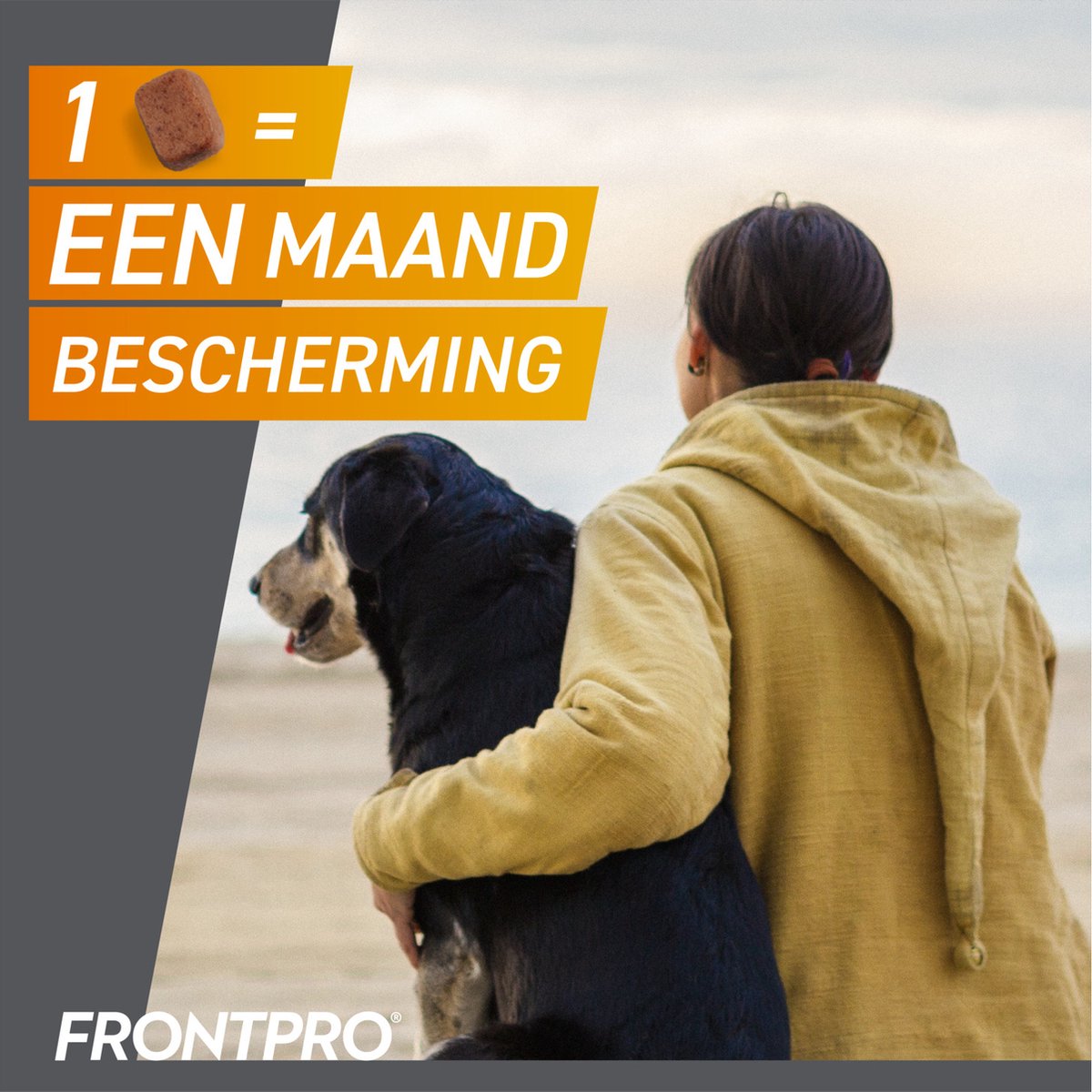Frontpro Anti vlooien kauwtablet - Hond M 4-10 kg - 3 tabletten — afbeelding 3