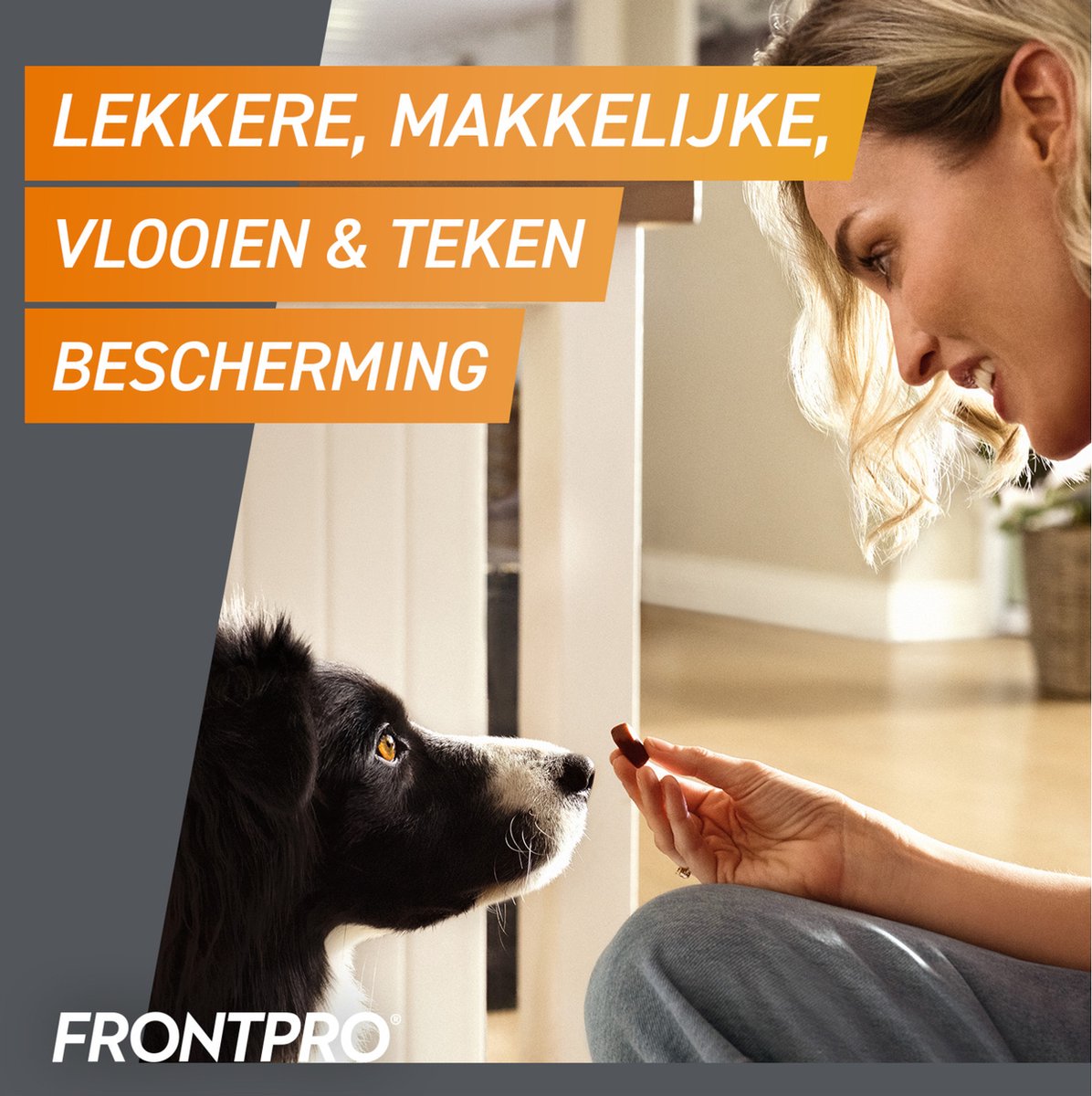 Frontpro Anti vlooien kauwtablet - Hond XL 25-50 kg - 3 tabletten — afbeelding 6