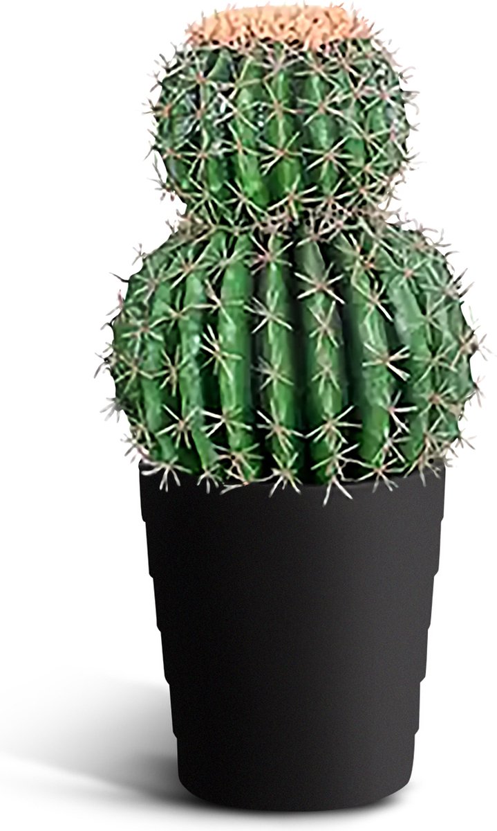 IvoQ Kunst Cactus 50 cm - Kunst Cactus Groot - Realistische Nep Cactus - Onderhoudsvrij - Indoor & Outdoor Decoratie